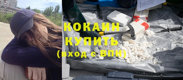 стаф Няндома