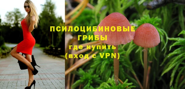 мяу мяу мука Нягань